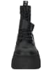 Steve Madden Stiefelette in Schwarz