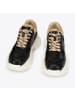 Wittchen Sneakers - premium brand leather shoes in Multicolor