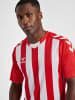 Hummel T-Shirt Hmlcore Herren in TRUE RED/WHITE