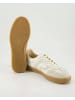 Gant Sneaker low in Beige