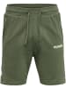 Hummel Short in Grün