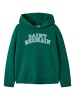 name it Hoodie in Aventurine1