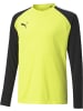 Puma Sportshirt "TeamPACER GK Longsleeve Jersey Jr" in Gelb
