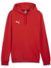 Puma Hoodie "TeamGoal CasuaLongsleeve Hoody" in Rot