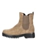 Gabor Stiefelette in Braun/Grau