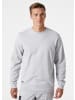 Helly Hansen Pullover "Classic Sweatshirt" in Grau