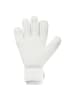 uhlsport  Torwarthandschuhe FM Cybertec Soft Flex Frame in weiß/cyberblau/schwarz