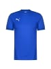 Puma Fußballtrikot teamGoal 23 in blau