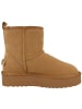 Steve Madden Boots Tessah in braun