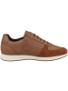 Geox Sneaker low U Avery A in braun