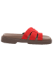 Apple of Eden Pantolette in rot