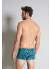 Tom Tailor Hip Pants 5Er Pack Great Falls in grün-dunkel-uni