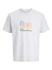 JACK & JONES PLUS T-shirt in Gray Dawn