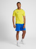 Hummel Hummel T-Shirt Hmlcore Multisport Erwachsene Schnelltrocknend in BLAZING YELLOW/TRUE BLUE