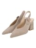 Högl Pumps in Taupe