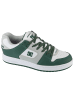 DC DC Shoes Manteca SE in Grün