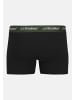 Jack & Jones Retro Short / Pant Soho in Grün / Lila / schwarz