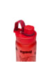 Ergobag ergobag Trinkflasche Drache