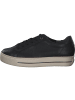 Paul Green Schnürschuhe in BLACK