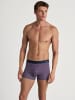 Calida New Boxer in mulberry red