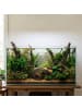 relaxdays Aquarium Deko "Baumstamm" in Braun - (B)13,5 x (H)5,5 x (T)9 cm