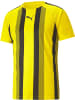 Puma Sportshirt "TeamLIGA Striped Jersey" in Gelb