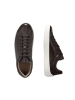 JOOP! Sneaker 'Dollaro Nate in Braun'