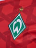 Hummel Hummel T-Shirt Wer 23/24 Fußball Erwachsene Schnelltrocknend in TRUE RED