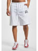 FUBU FUBU Mesh-Shorts in white/black