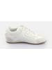 Buffalo Sneaker Varsity in Weiß/Creme