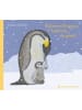 Gerstenberg Verlag Buch - Kleiner Pinguin, bald bist du groß!