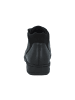 Solidus Stiefeletten/Boot in schwarz