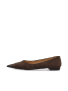 Bianco Ballerinas in Brown1