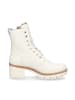 PANAMA JACK Schnürstiefelette in creme weiß