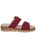 Caprice Pantolette in FUCHSIA SUEDE