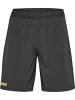 Hummel Kurze Hose Hmlblaze26 Herren in ASPHALT