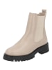 palado Chelsea Boots in taupe