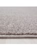 Teppich Boss Kurzflor Teppich Alberto in Beige