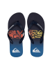 Quicksilver Flops Molokai in Blau