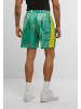 Carlo Colucci Carlo Colucci SOCCER SHORTS COLOR BLOCK in green/yellow