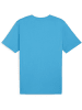 Puma T-Shirt "TeamRISE Logo Jersey Cotton" in Blau