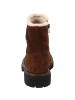 Palado Winterstiefeletten Palenny in Braun