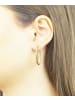 Vanlere Creolen aus 375 Gelbgold