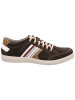 Jomos Sneaker Low in braun