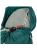 Osprey Tempest 30 Women M/L - Wanderrucksack 61 cm in jasper green