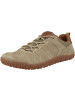Camel Active Sneaker low 54ILN11 XT in grau