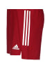 adidas Performance Funktionsshorts Condivo 21 Primeblue in rot / weiß