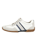 Pius Gabor Sneaker Weiß/Blau