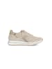 Gabor Sneaker in beige