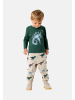 name it Longsleeve 'Nedin' 2er Pack in grün